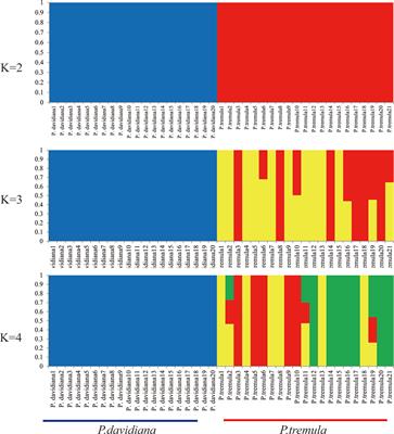 <mark class="highlighted">Population Genomics</mark> Reveals Demographic History and Genomic Differentiation of Populus davidiana and Populus tremula